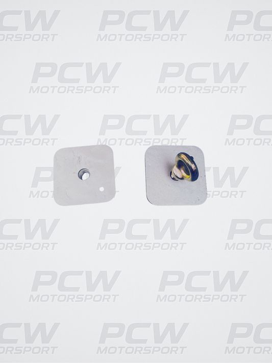 Racing Harness/Seat Belt Mounting Back Plate + eyebolt FIA Approved x 2